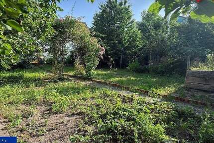 BEGEHRT: Grundstück mit vielseitigen Möglichkeiten zimmer