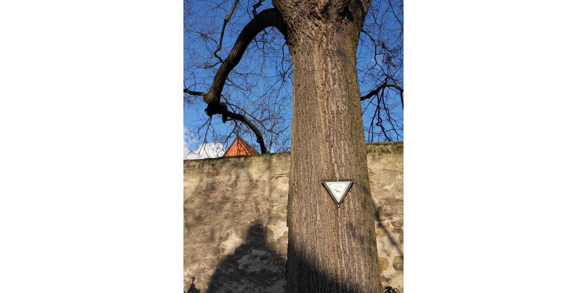 Maisonettenwohnung Zwingenberg - 5 Zimmer, 120 m&sup2;, 309.000&euro; | Angebot:24554917