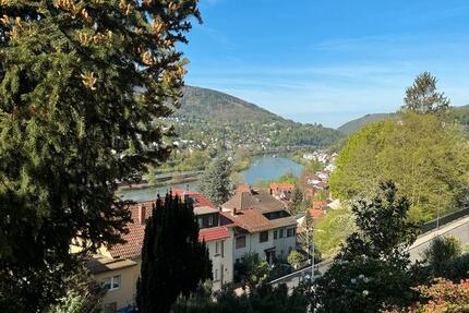 Wohnung Heidelberg Peterstal - 1 Zimmer, 40 m&sup2;, 775&euro; | Angebot:25426029