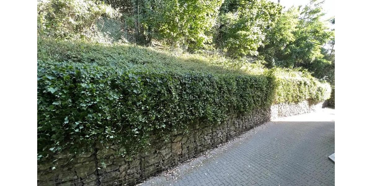 Erdgeschoßwohnung Leimen - 1 Zimmer, 30 m&sup2;, 101.000&euro; | Angebot:9165519