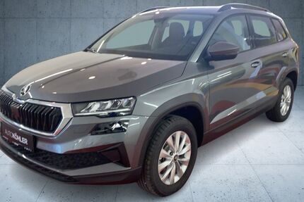Skoda Karoq 1.100 km 31.490 &euro; Bad Dürkheim 67098