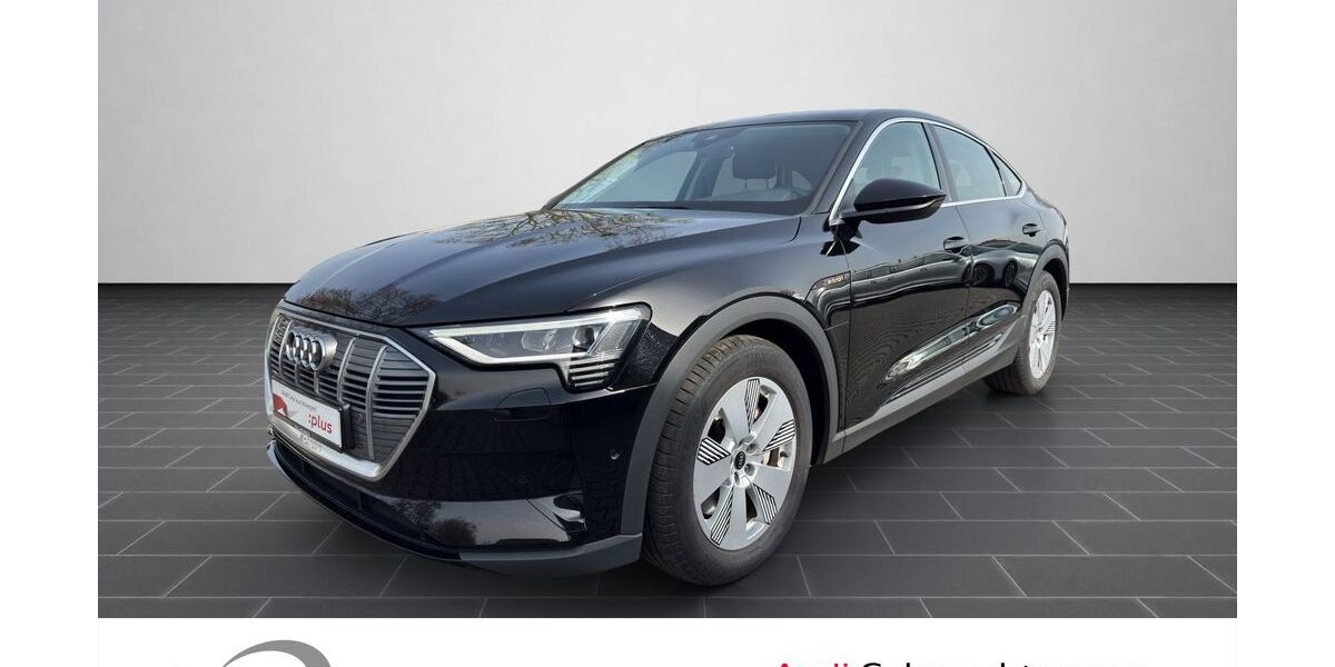 Audi e-tron 40.992 km 25.900 &euro; Ludwigshafen 67063