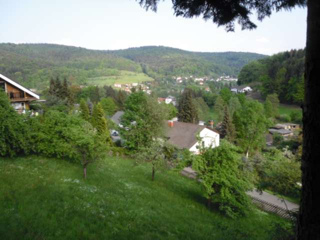 Grundstück zu verkaufen in Schönau 200.000 € 1514 m²