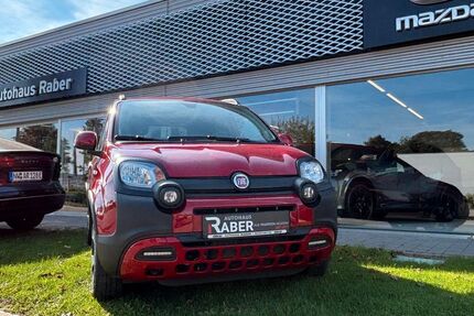 Fiat Panda 70.162 km 10.990 &euro; Neustadt 67433