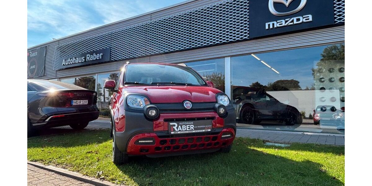 Fiat Panda 70.162 km 10.990 &euro; Neustadt 67433