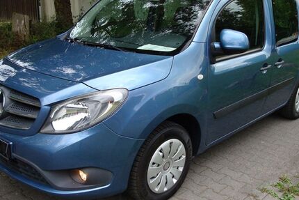 Mercedes-Benz Citan 75.600 km 14.999 &euro; Lorsch 64653