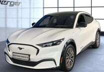 Gebrauchtwagen Ford Mustang