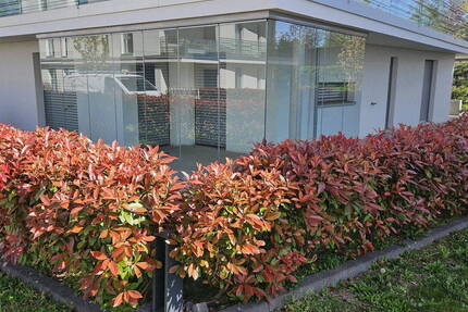 Exkl. 2 Zi. EG Wohnung, Terrasse, Garten & Stellplatz Bj 2018 Mannheim - Provisionsfrei!**