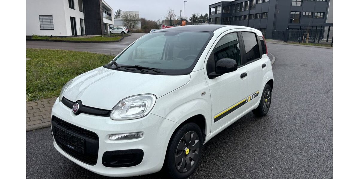 Fiat Panda 21.000 km 7.990 &euro; Plankstadt 68723