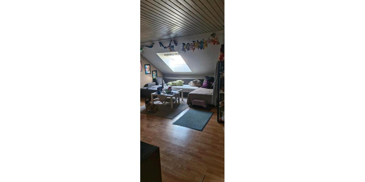 Dachgeschoßwohnung Schwetzingen - 1 Zimmer, 60 m&sup2;, 219.000&euro; | Angebot:27301073