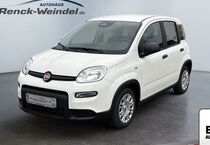 New Panda