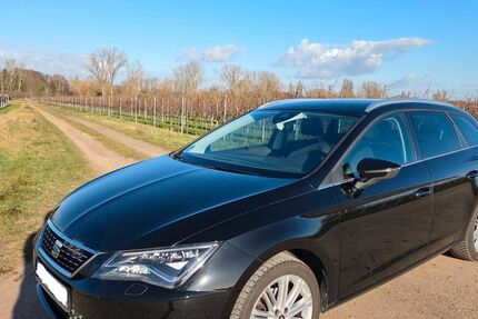 Seat Leon 49.000 km 17.199 &euro; Altdorf (Deutschland) 67482