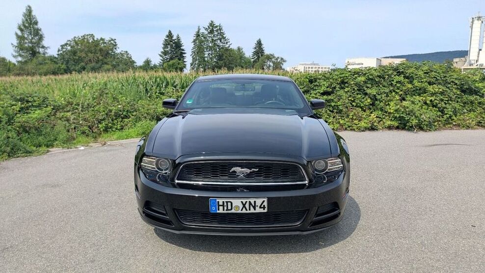 Mustang