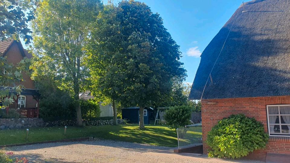 Maisonettenwohnung Grünstadt - 1 Zimmer, 40 m&sup2;, 245.000&euro; | Angebot:25849083