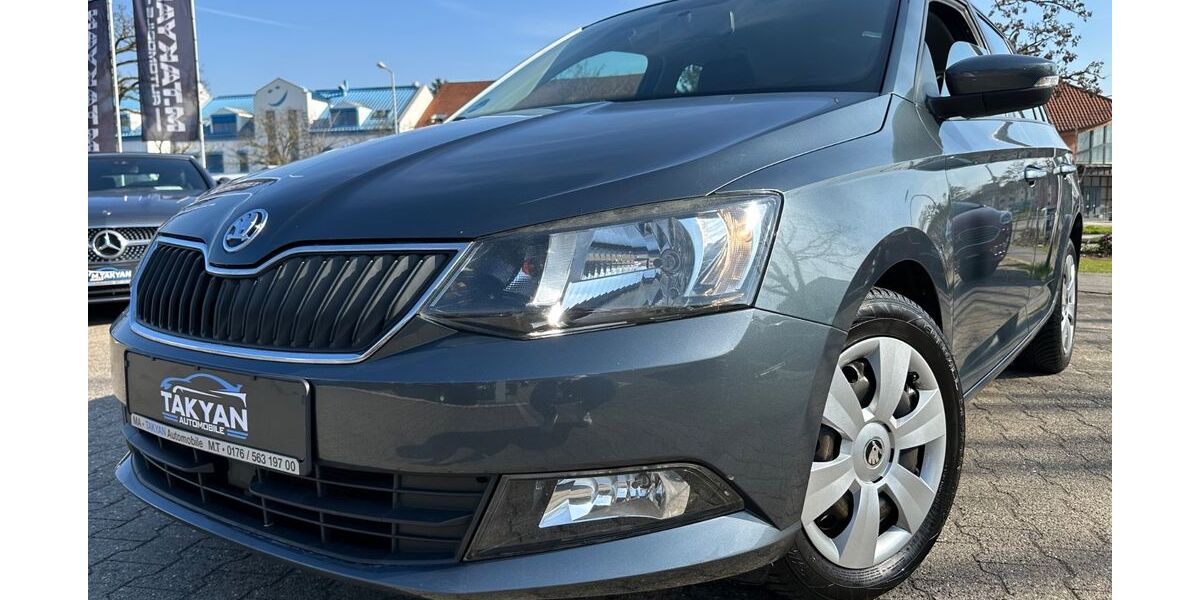 Skoda Fabia 114.000 km 8.990 &euro; Mannheim 68309