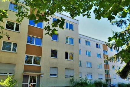 Wohnung Frankenthal (Pfalz) - 3 Zimmer, 71 m&sup2;, 739&euro; | Angebot:25919733