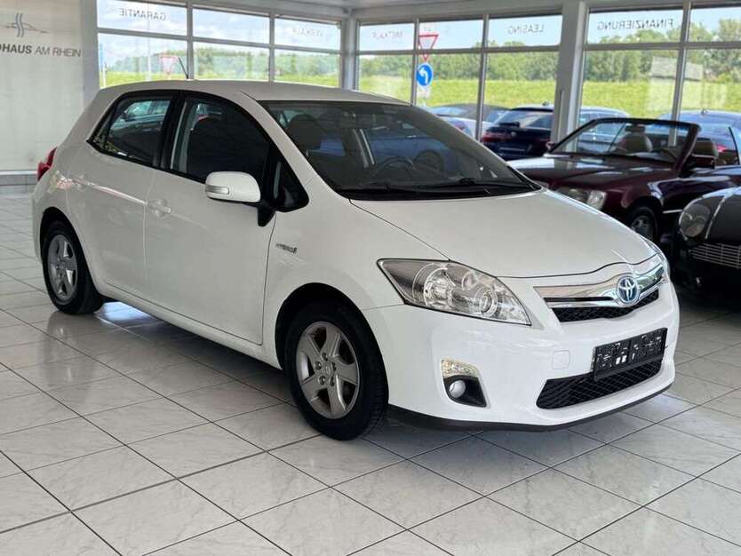 Auris