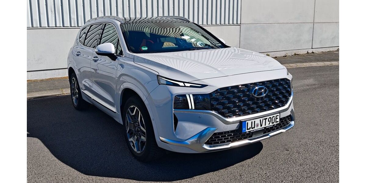 Hyundai SANTA FE 45.000 km 37.490 &euro; Limburgerhof 67117