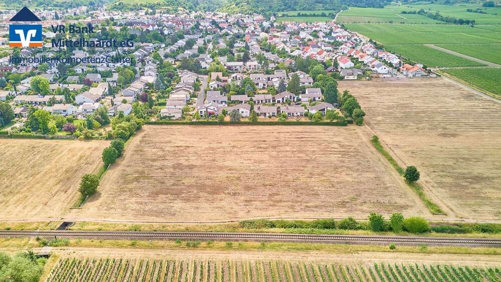 Grundstück zu verkaufen in Wachenheim 349.965 € 505 m² zimmer