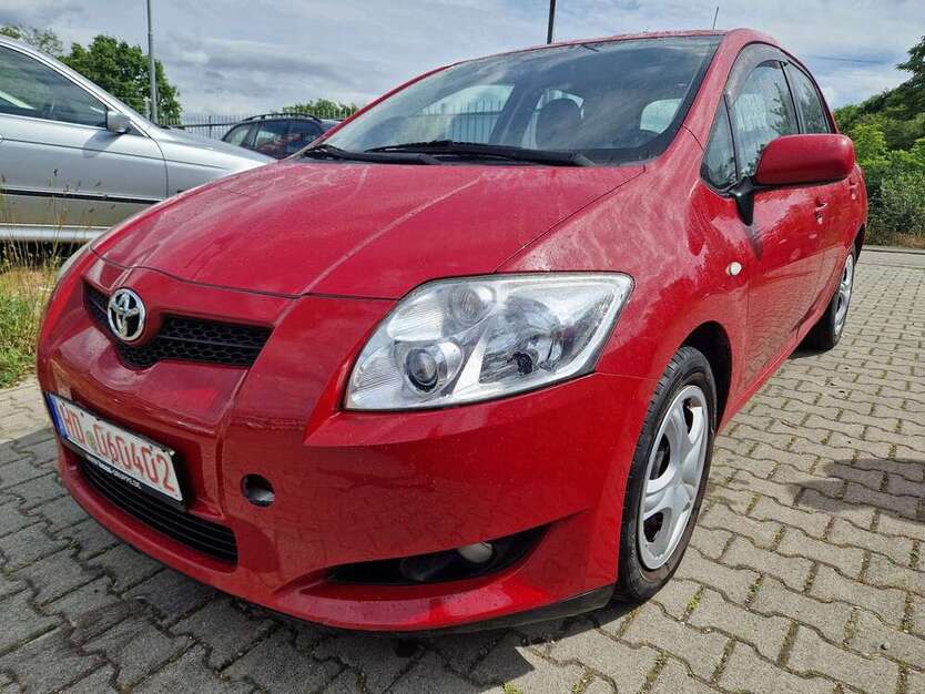 Auris