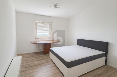 TOP SANIERT, TOP WG - Erdgeschoßwohnung Mannheim Sandhofen | Angebot:26230370