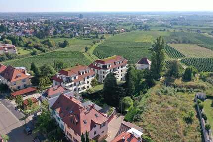 Wohnung Neustadt Hambach an der Weinstraße - 3 Zimmer, 103 m&sup2;, 628.000&euro; | Angebot:26498260