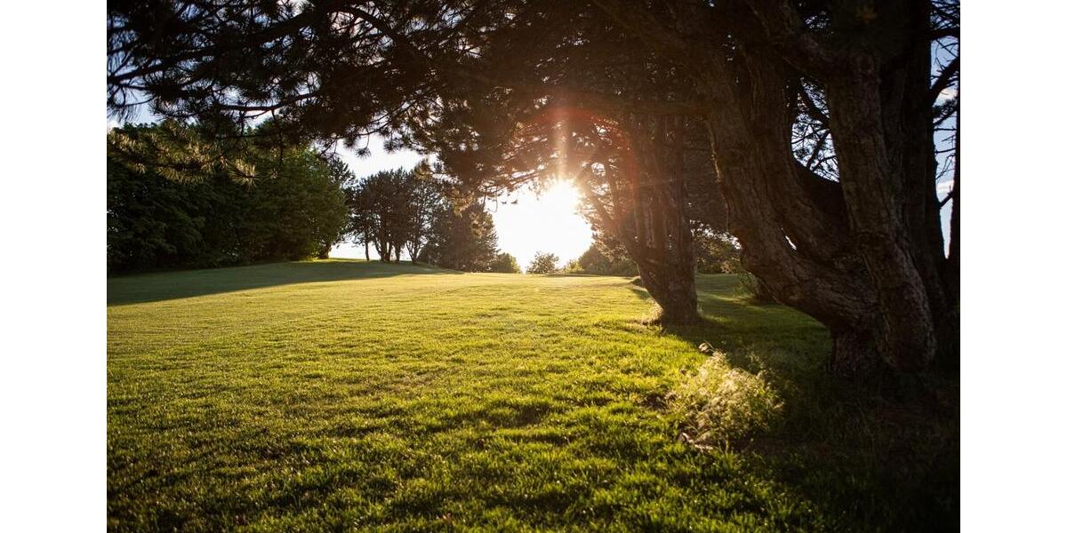 Gewerbeobjekt Wiesloch - 50&euro; | Angebot:24828417