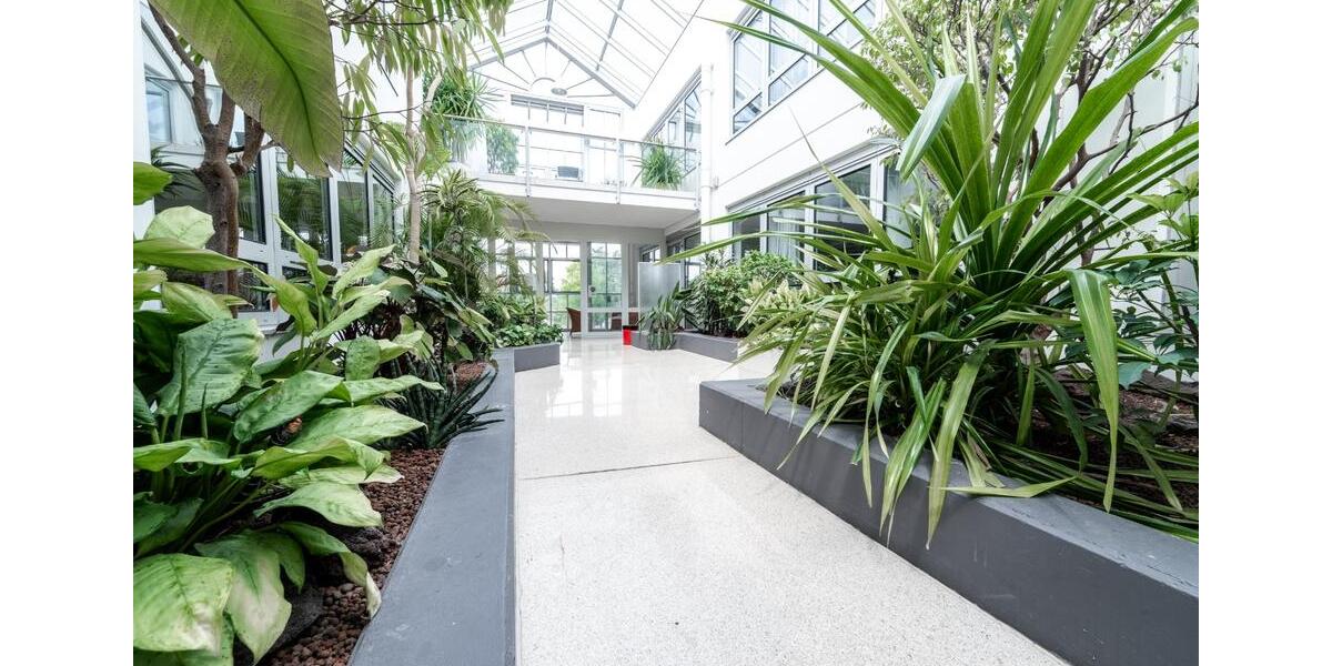 Gewerbeobjekt Leimen - 800&euro; | Angebot:25182881