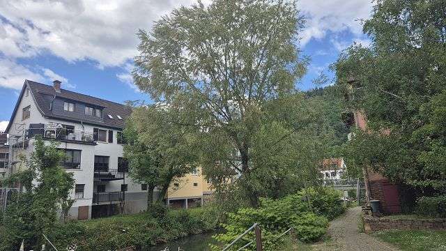 Wohnung zum Kaufen in Neckargemünd 335.000 € 110.62 m²