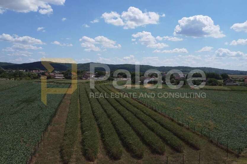 Grundstück zu verkaufen in Popovac 30.000 € 5755 m²