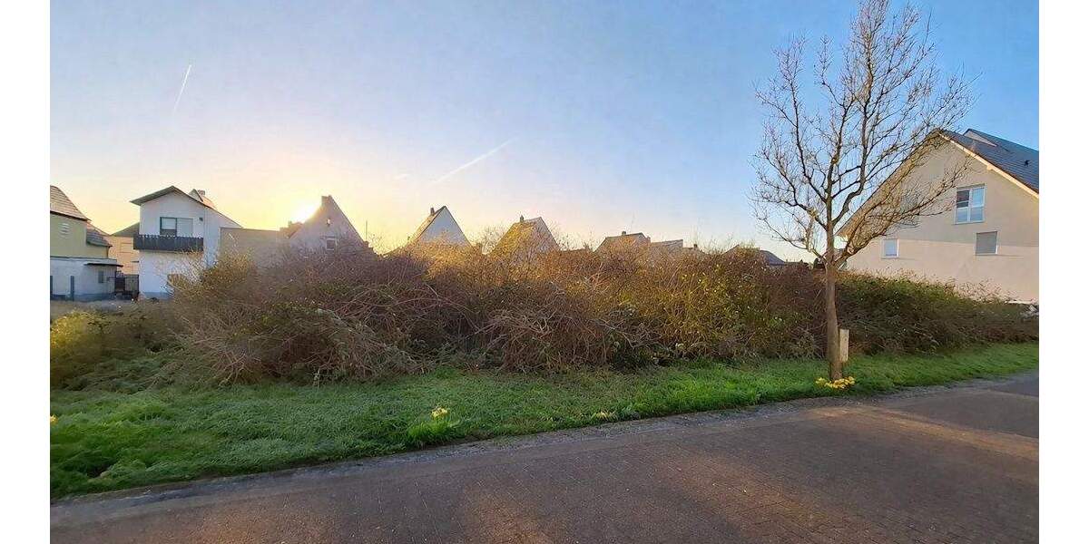 Grundstück Schifferstadt - 328.000&euro; | Angebot:25864186