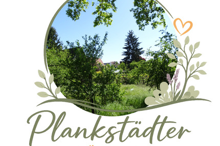 Haus Plankstadt - 5 Zimmer, 120 m&sup2;, 657.500&euro; | Angebot:26305962