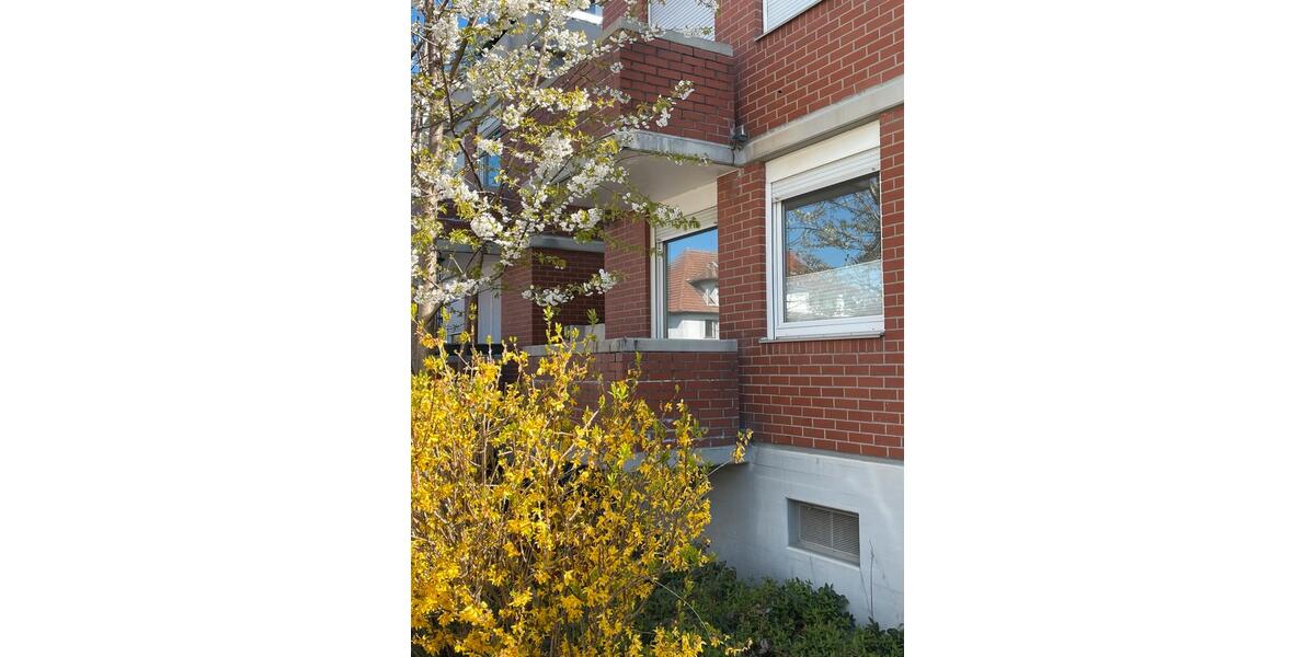 Hochparterre Ketsch - 1 Zimmer, 25 m&sup2;, 690&euro; | Angebot:26251884