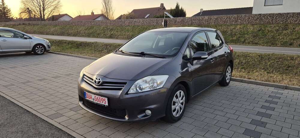 Auris
