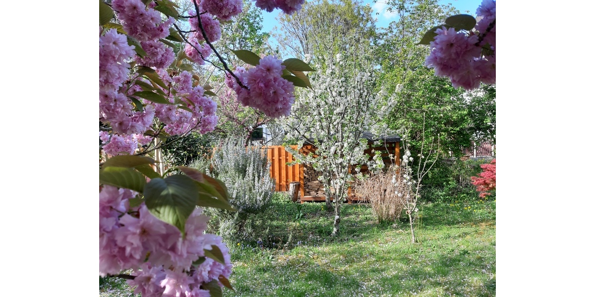 Exklusive Eigentumswohnung mit Gartenanteil und Loggien 5 zimmer