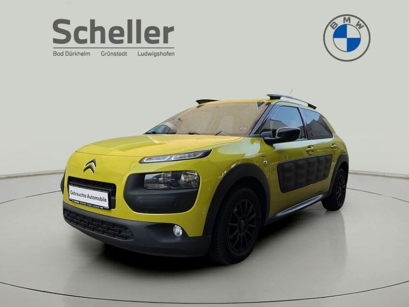 C4 Cactus