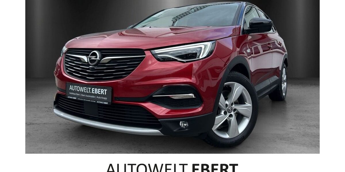 Opel Grandland (X) 84.400 km 18.690 &euro; Frankenthal 67227