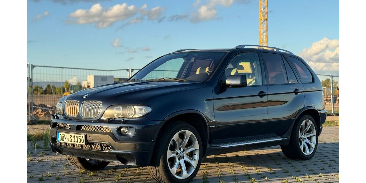 BMW X5 249.888 km 10.500 &euro; Deidesheim 67146