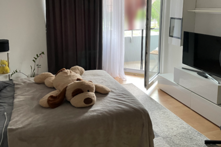 Wohnung zum Mieten in Leimen 480 € 29 m² 1 zimmer