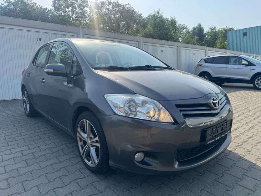 Auris