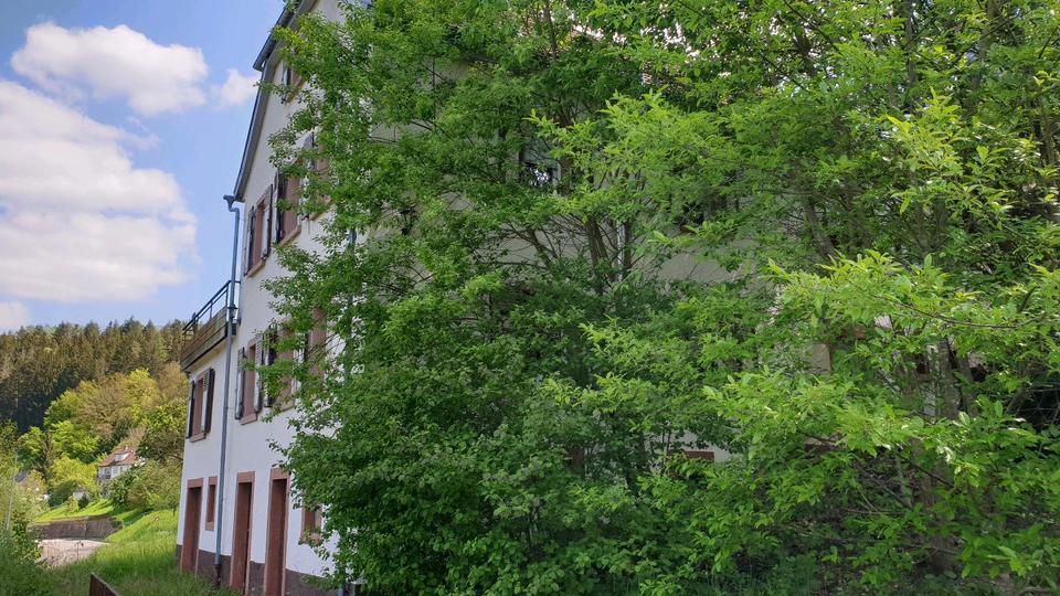 Einfamilienhaus Heidelberg Boxberg - 5 Zimmer, 183 m&sup2;, 245.000&euro; | Angebot:26757144