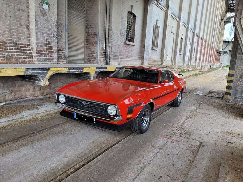 Mustang