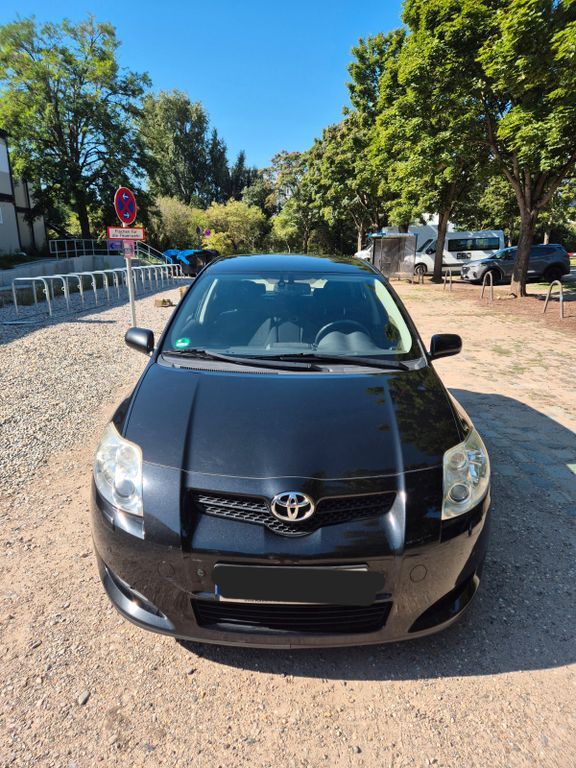 Auris