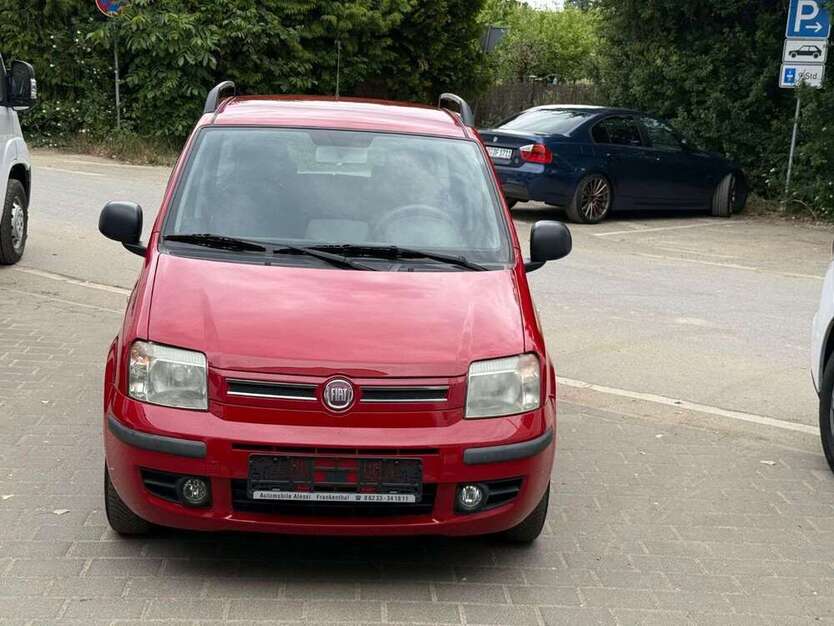 Panda