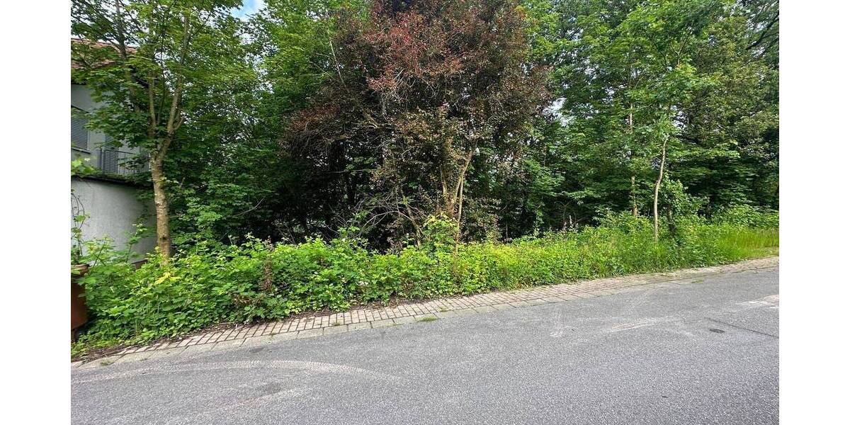 Grundstück Schönau - 65.000&euro; | Angebot:22602779