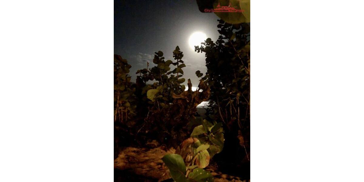 Grundstück in Costa Rica in einer der blauen Zonen der Erde zimmer