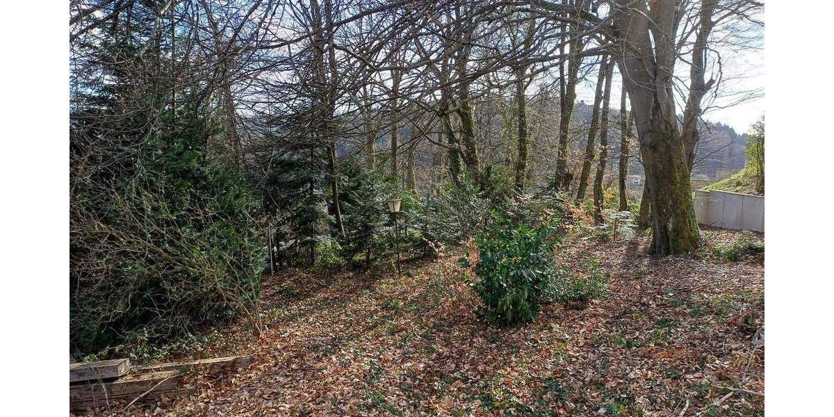 Grundstück Wilhelmsfeld - 685.000&euro; | Angebot:25804734