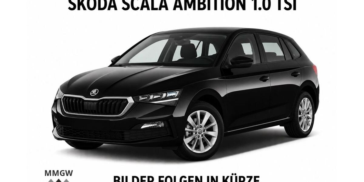 Skoda Scala 82.120 km 16.990 &euro; Bensheim 64625