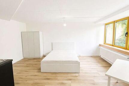 Wohnung Mannheim Almenhof - 1 Zimmer, 35 m&sup2;, 599&euro; | Angebot:26296414