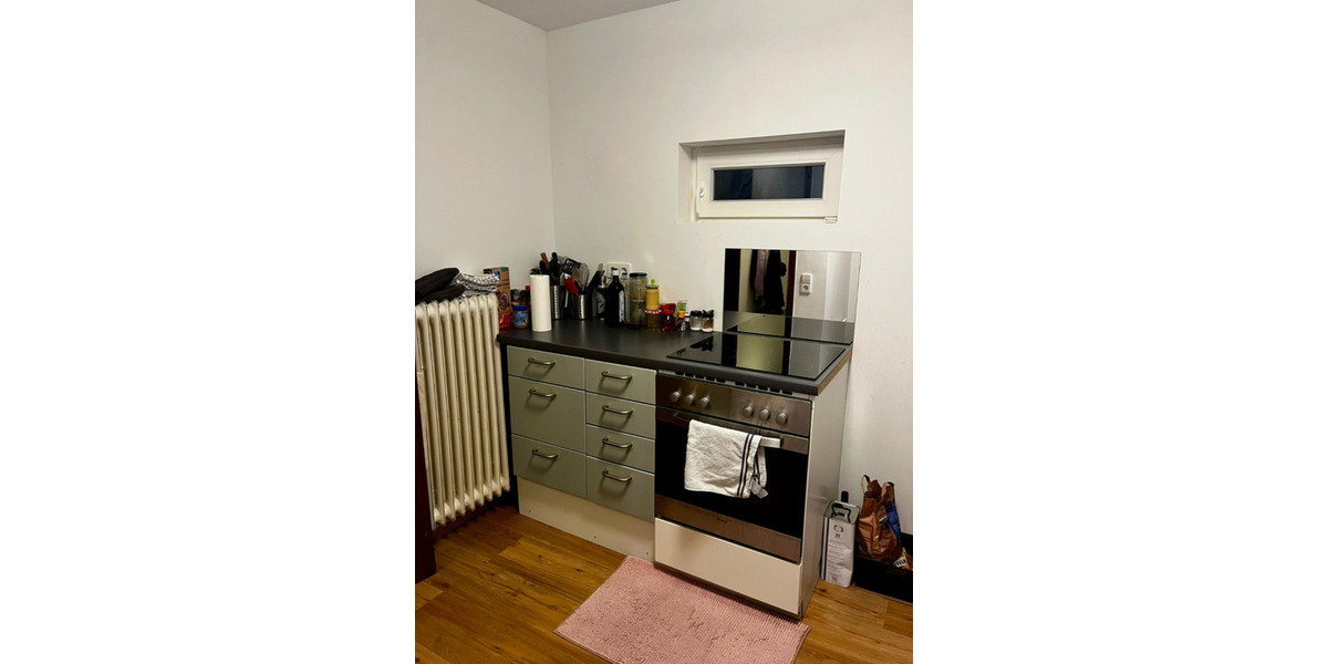 1ZKB + 2ZKB Heidelberg ab FebMrz26 bis Dez26 2 zimmer